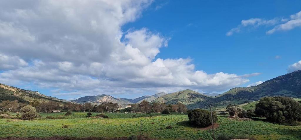 Les Collines De Lava Apartment Appietto ภายนอก รูปภาพ